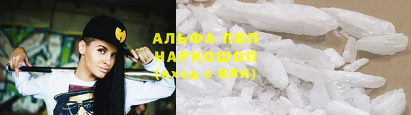 Альфа ПВП Белокуриха